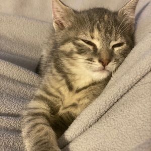 Meet your Posher, Eunbit